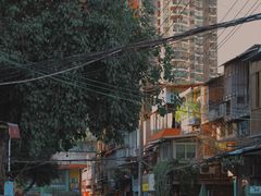 -溪岸路花鸟市场