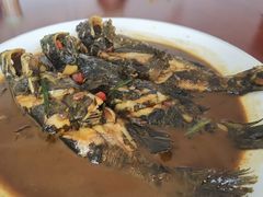 昂刺鱼-渔娘蟹庄(阳澄湖莲花岛店)