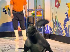 -太平洋海底世界