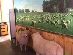 -313羊庄·羊肉火锅烧烤(李村店)