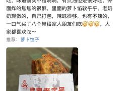 -半月镰胡姐脆皮萝卜饺子