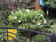 -上海交通大学医学院附属第九人民医院黄浦分院(中医门诊部)