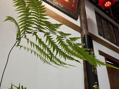 -道南書院·私房菜·早午茶·茶馆