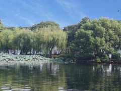 -苏堤停车场