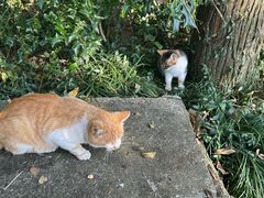 -狼山风景名胜区