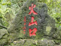 -海口火山口国家地质公园