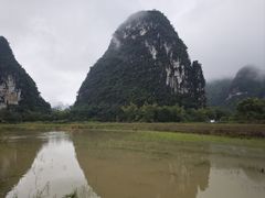 -明仕田园