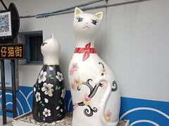 -猫咪博物馆(顶澳仔猫街店)
