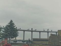 -人民防洪胜利纪念塔