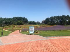 -保利石象湖景区