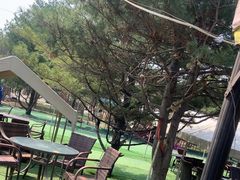 -尚庄度假村·庭台树下·户外烧烤·团建CS·轰趴营地(上庄水库店)
