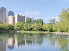-青城公园