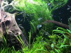 -上海海洋水族馆