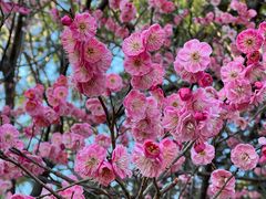 -白塘生态植物园