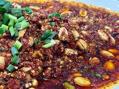 -胖大姐黄辣丁鱼庄(新津店)