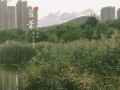 -前关湿地公园