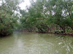 -大湾区中央湿地公园