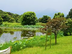 -福建鲤鱼洲酒店