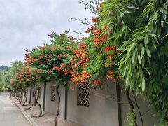 -渭南桃花源民俗文化园