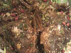 奇滋烤鱼-奇滋豆味(南十四道街店)