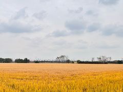 -嘉北郊野公园