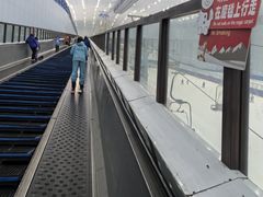 -哈尔滨热雪奇迹