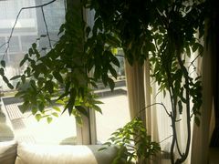 -精德口腔·种植修复·儿牙中心(财富中心店)