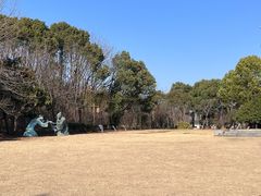 -梁鸿国家湿地公园