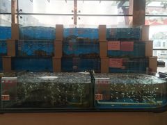 水产区-东方之珠海鲜酒楼(南开店)