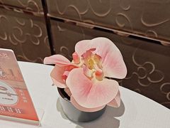 -新雅粤菜馆(南京东路店)