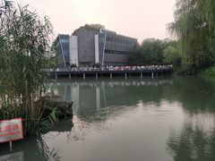 -青枫公园