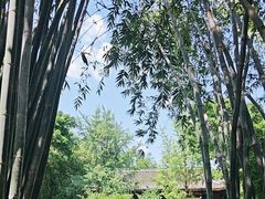 -望江楼公园