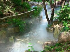 -北京西山国家森林公园