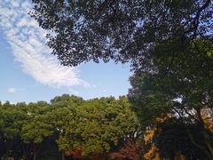 -临平公园(临平街道)