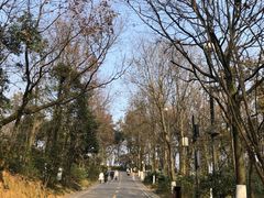 -岳麓山风景名胜区