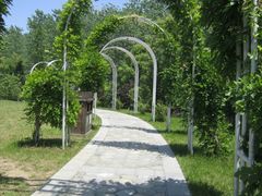 -合肥滨湖国家森林公园