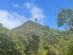 -梧桐山风景名胜区