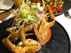 -荟廷·晶萃(陆家嘴尚悦湾店)