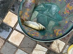 -酷鱼垂钓CLUB(朝阳区博大路店 )