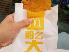 -麦当劳(新洲南路店)