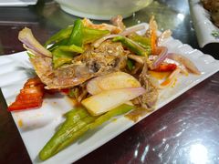 椒麻鸡-马白开来特色羊排揪片子  (总店)