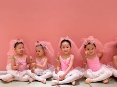 -朵拉舞蹈·少儿舞蹈·成人舞蹈(百花校区)