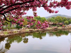 -白马涧龙池景区
