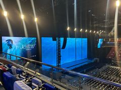 -宝能国际体育演艺中心