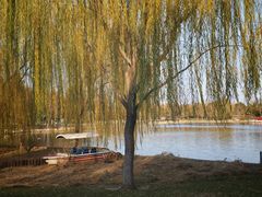 -西海子公园