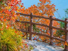 -白帝城·瞿塘峡景区