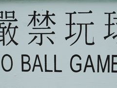 -彩虹村