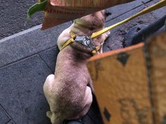 -康二姐串串(中道街店)