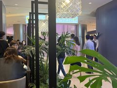 -THE WOODS 简餐 (国贸商城店)
