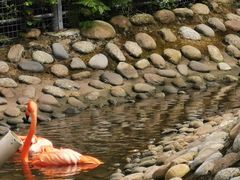 -广东茂名森林公园